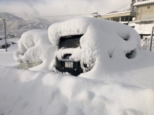 SNOW CAR TWIN